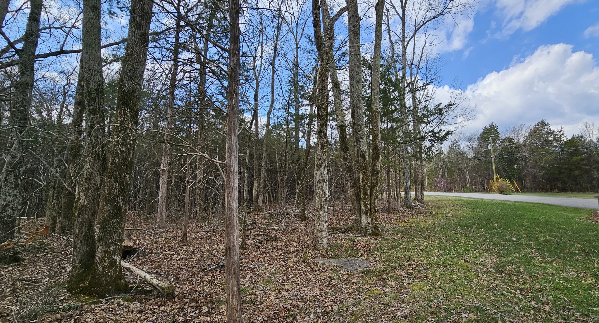 3003 Thompson Road Murfreesboro, TN 37128 - Photo 12 of 48