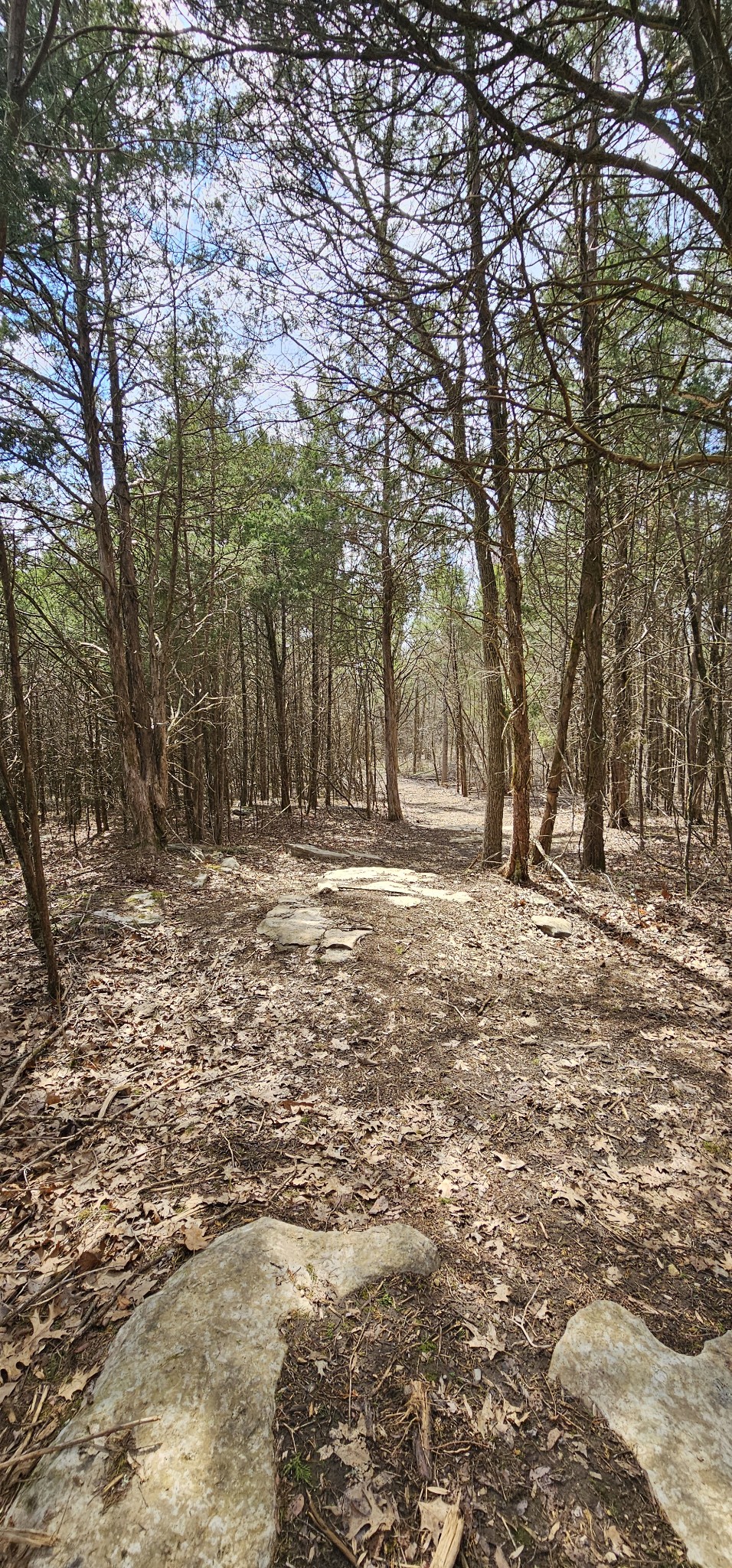 3003 Thompson Road Murfreesboro, TN 37128 - Photo 16 of 48