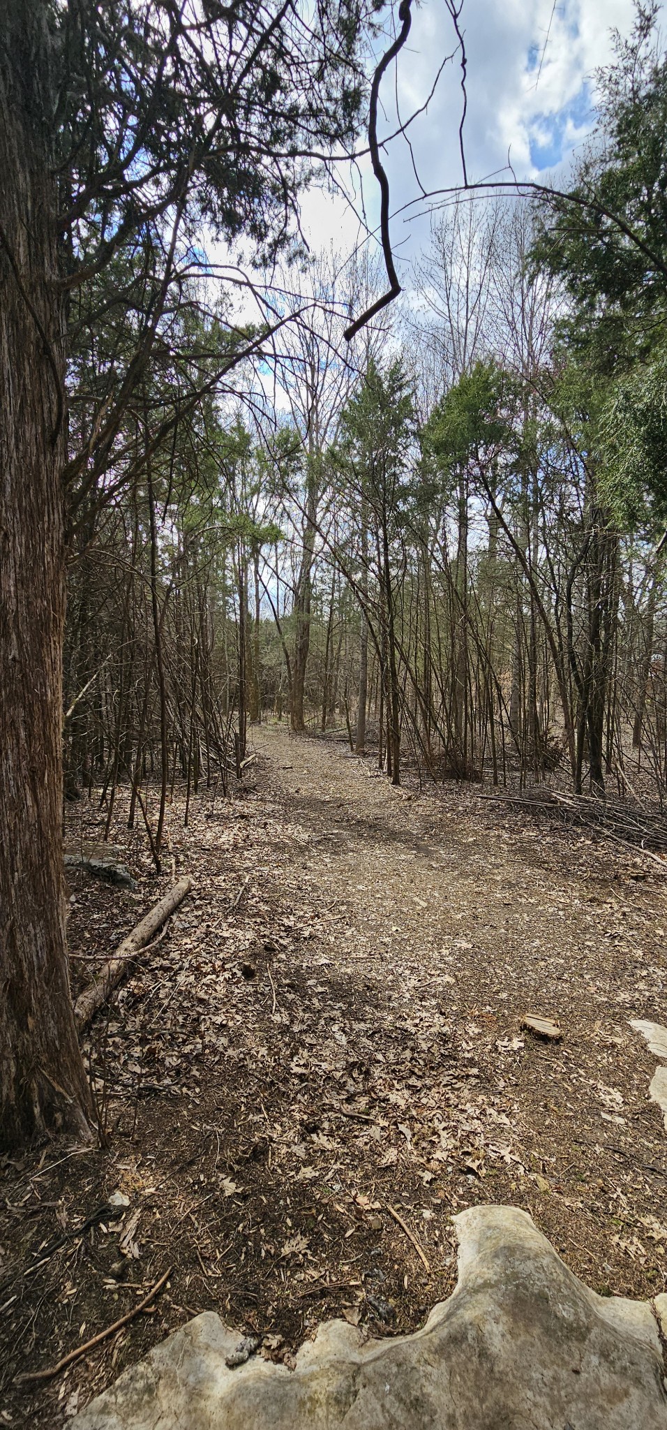 3003 Thompson Road Murfreesboro, TN 37128 - Photo 17 of 48