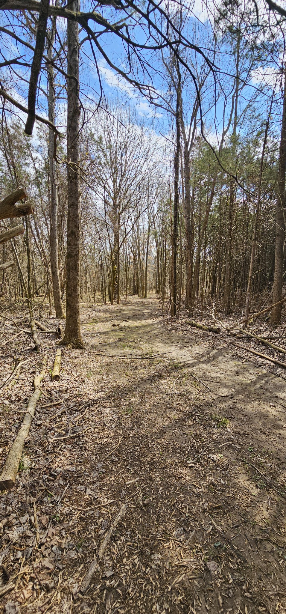 3003 Thompson Road Murfreesboro, TN 37128 - Photo 18 of 48