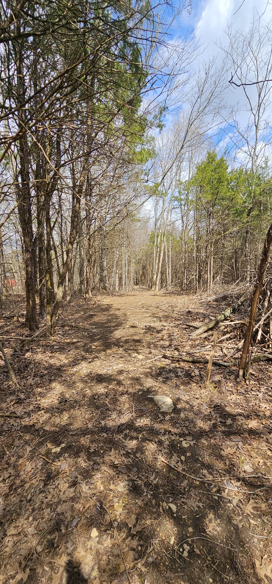 3003 Thompson Road Murfreesboro, TN 37128 - Photo 20 of 48