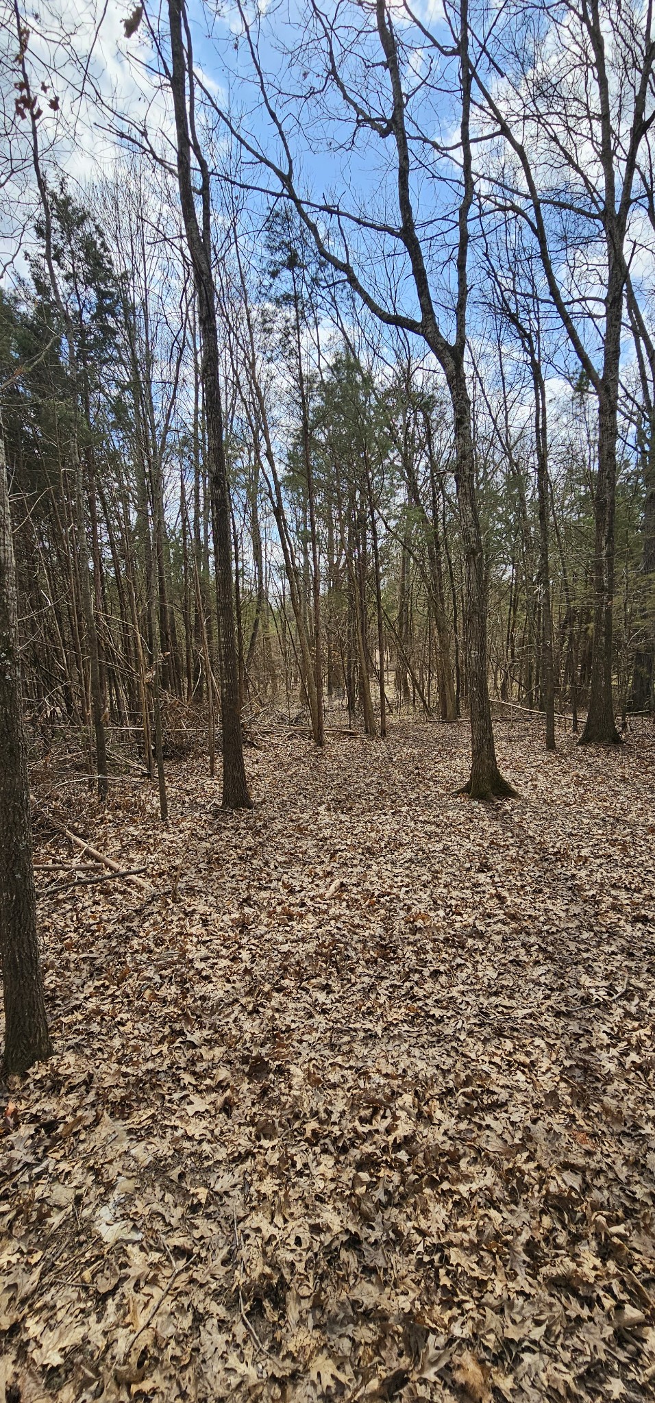 3003 Thompson Road Murfreesboro, TN 37128 - Photo 24 of 48