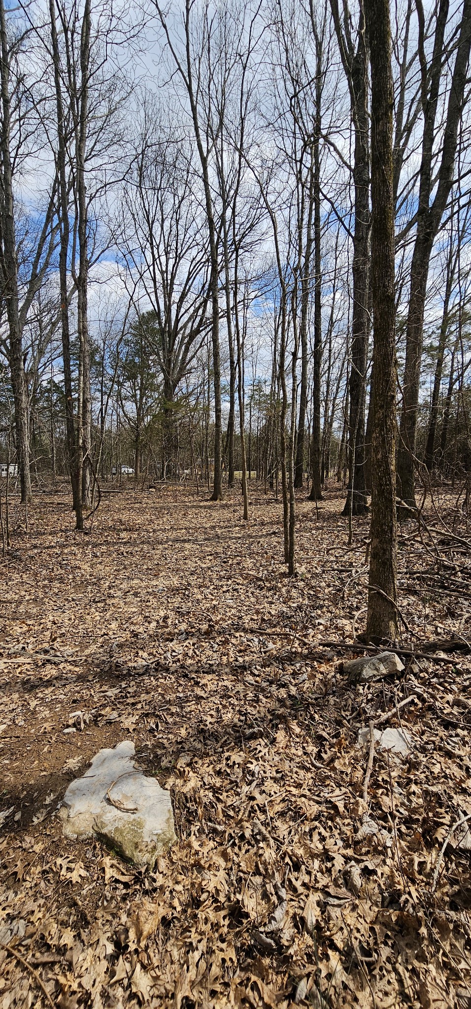 3003 Thompson Road Murfreesboro, TN 37128 - Photo 25 of 48