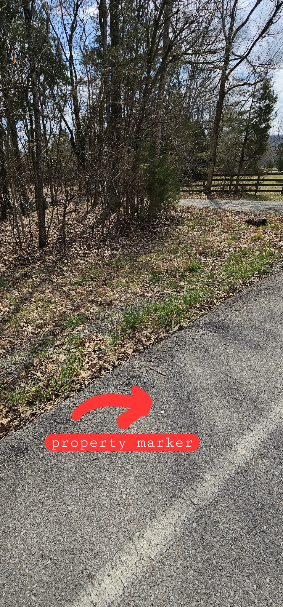 3003 Thompson Road Murfreesboro, TN 37128 - Photo 26 of 48