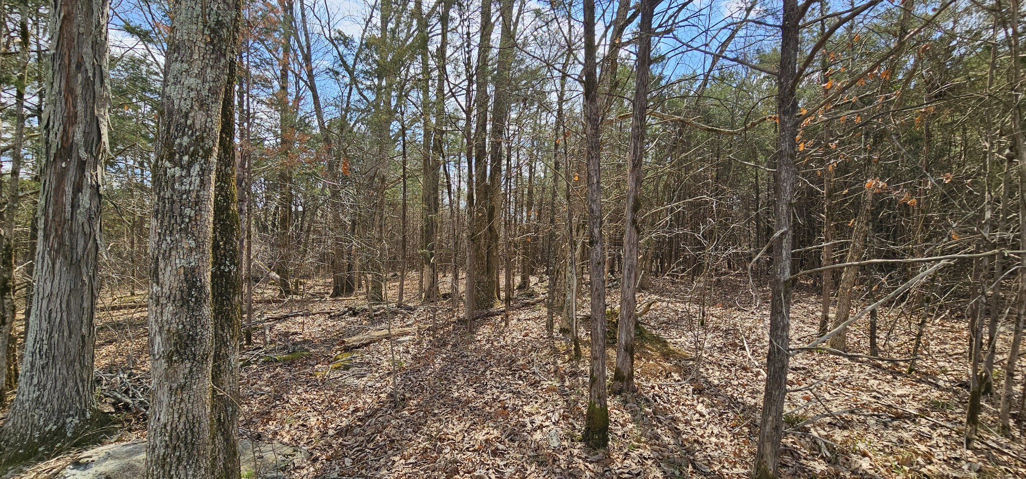 3003 Thompson Road Murfreesboro, TN 37128 - Photo 27 of 48