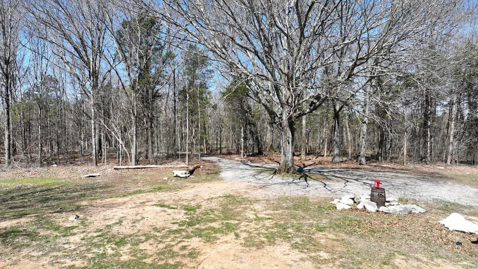 3003 Thompson Road Murfreesboro, TN 37128 - Photo 5 of 48