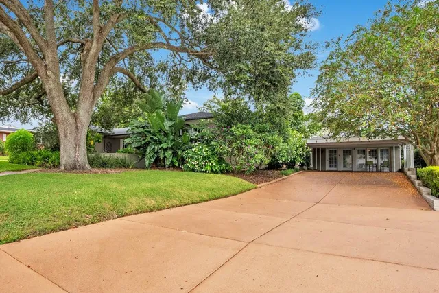 a view of a backyard
