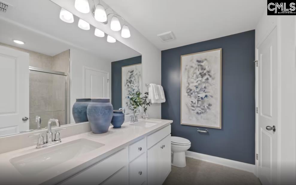342 Mdw Rdg Road Chapin, SC 29036 - Photo 19 of 20