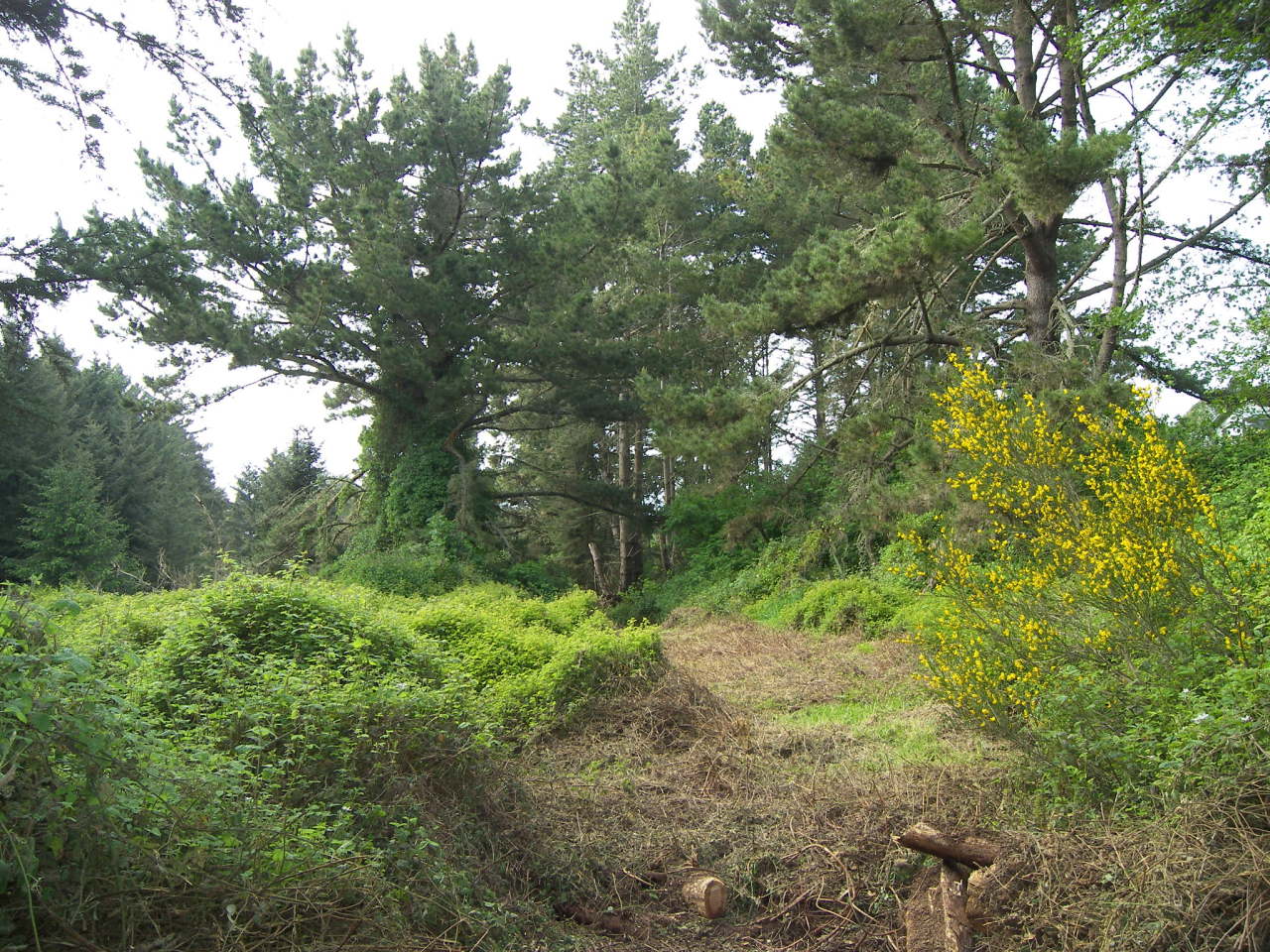 7156 Humboldt Hill Road Eureka, CA 95503 - Photo 29 of 31