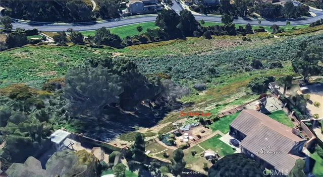 a view of a garden with plants