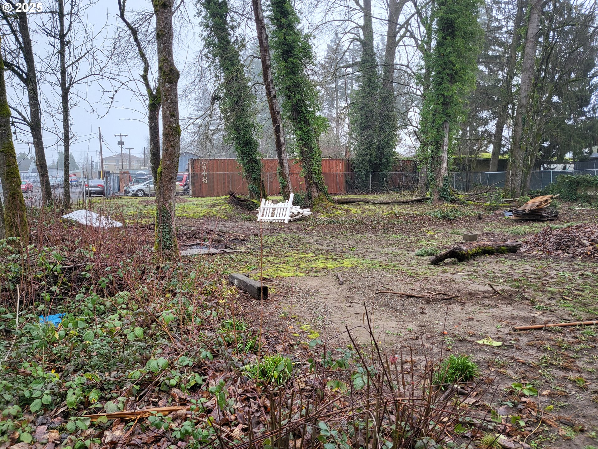 596 Northeast Linden Avenue Gresham, OR 97030 - Photo 16 of 18 a view of a backyard with large trees