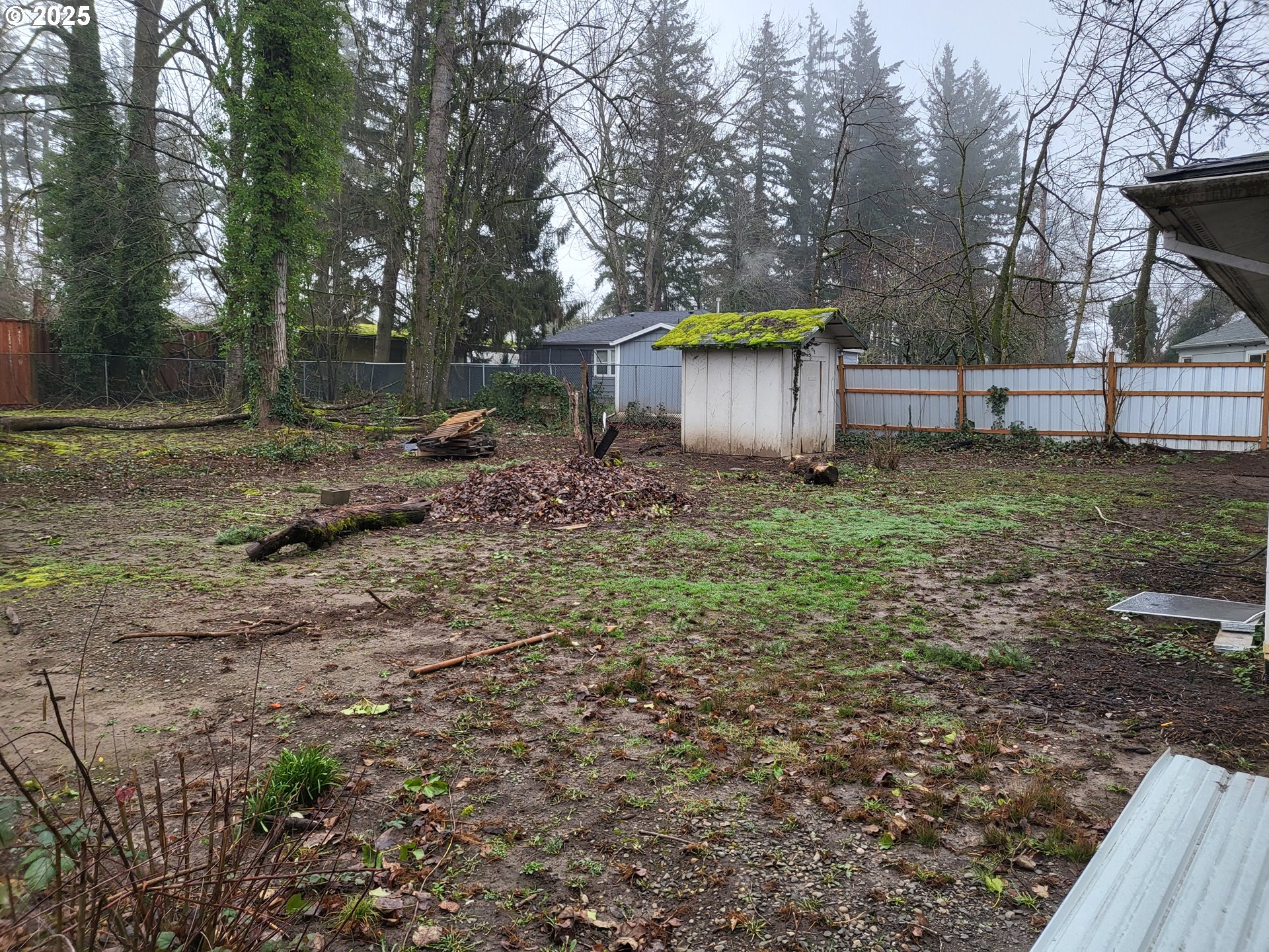 596 Northeast Linden Avenue Gresham, OR 97030 - Photo 17 of 18 a backyard of a house with lots of green space