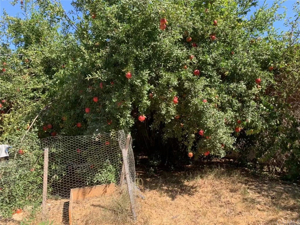 5053 Roundup Road Norco, CA 92860 - Photo 63 of 71 huge
