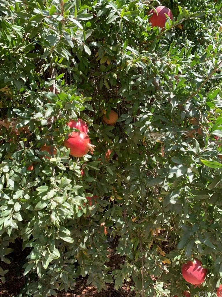 5053 Roundup Road Norco, CA 92860 - Photo 64 of 71