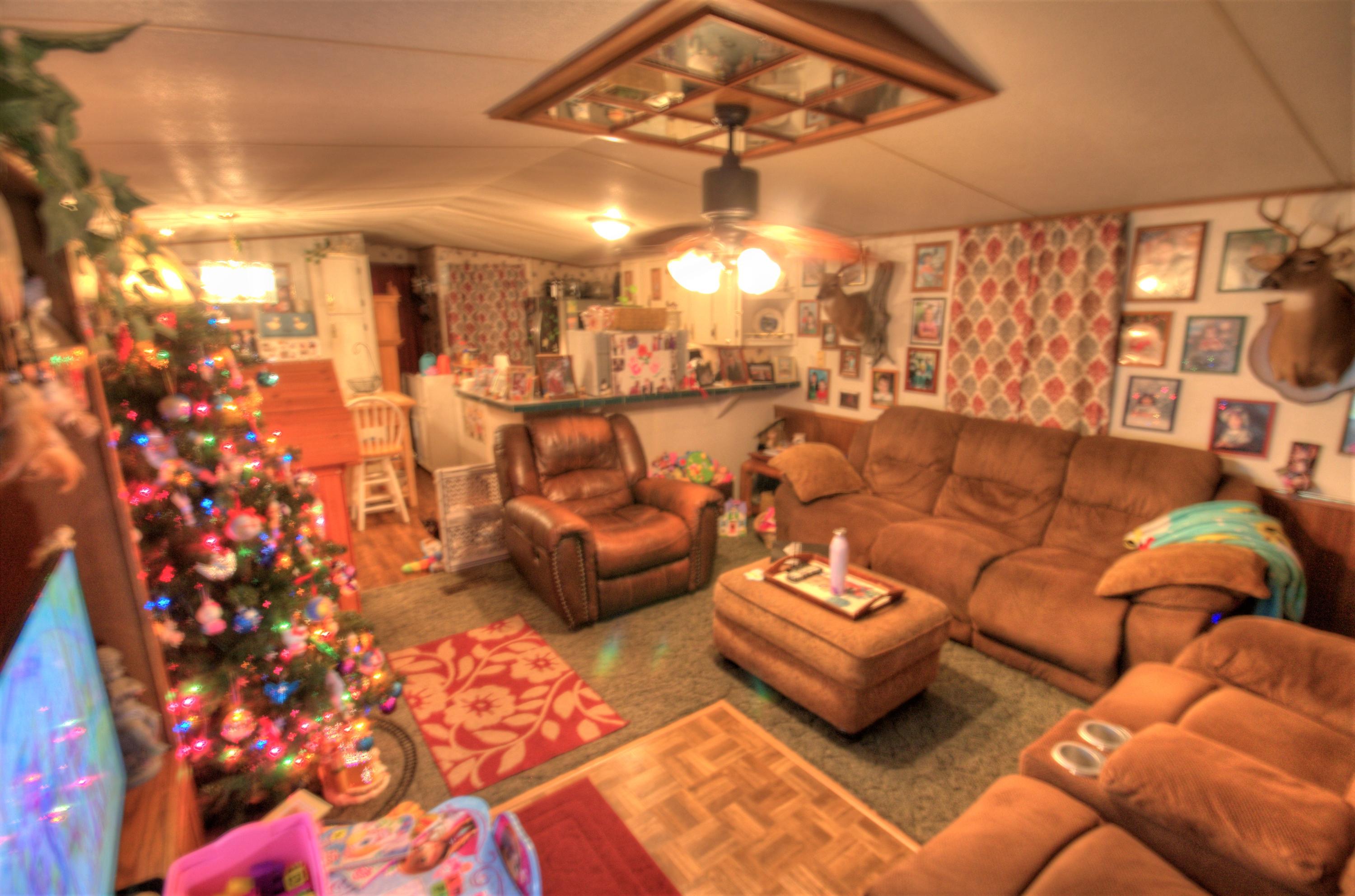 110 Conducive Way Bonneau, SC 29431 - Photo 4 of 13 Living