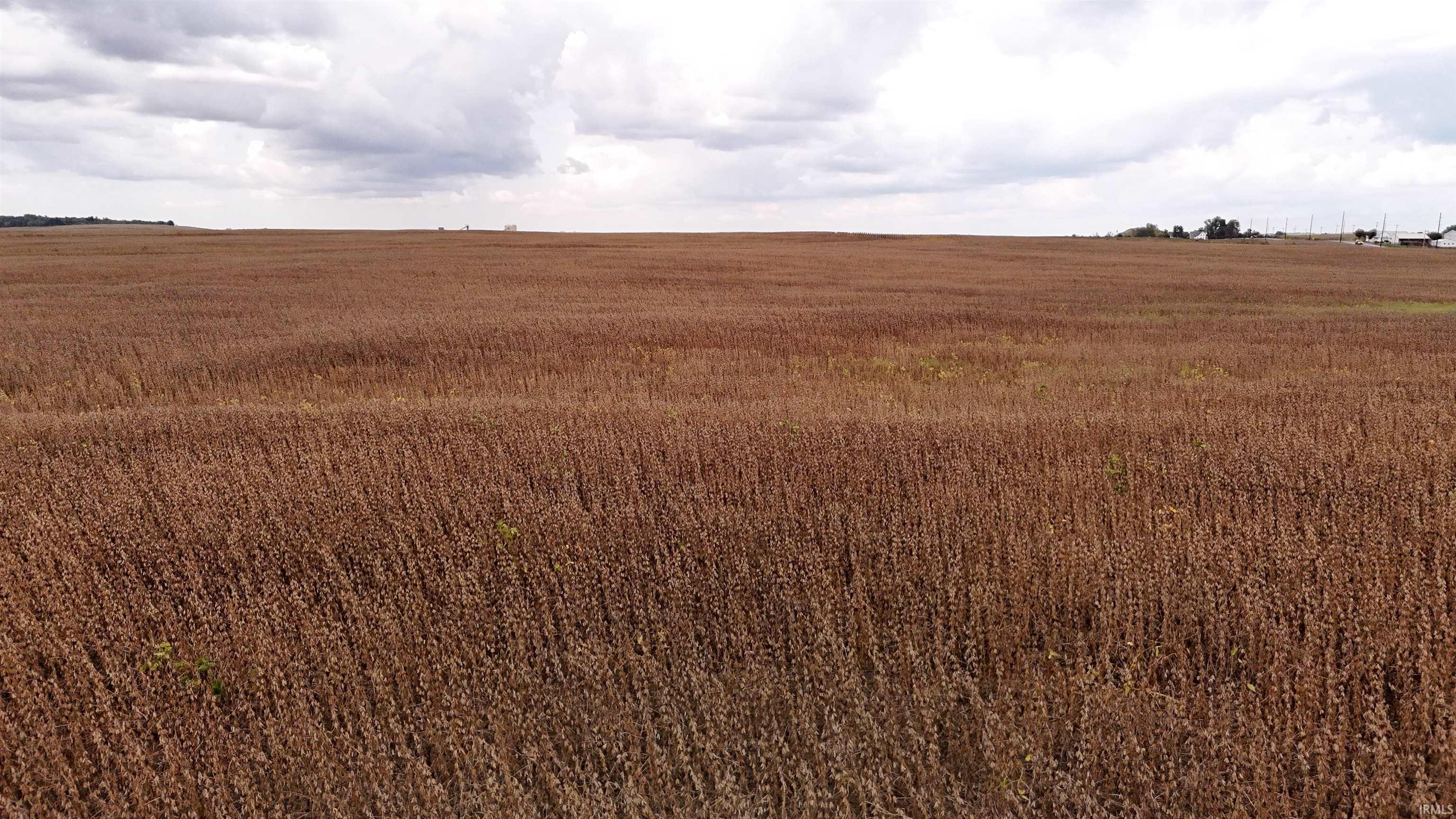 61 Sr Lynnville, IN 47619 - Photo 7 of 14