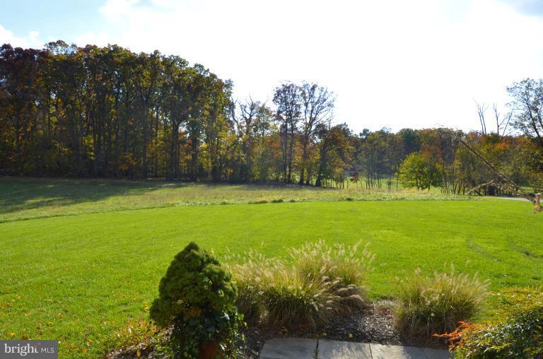 17523 Moore Road Boyds, MD 20841 - Photo 1 of 30 View