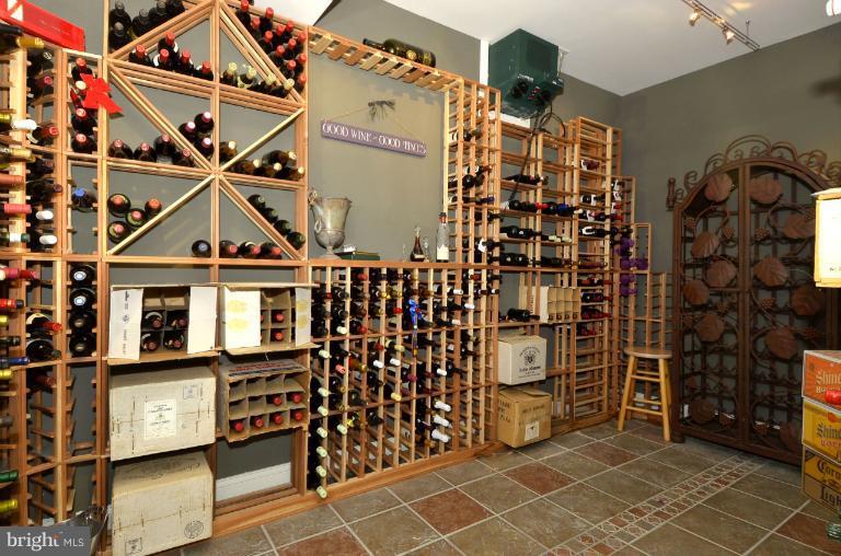 17523 Moore Road Boyds, MD 20841 - Photo 27 of 30 Basement