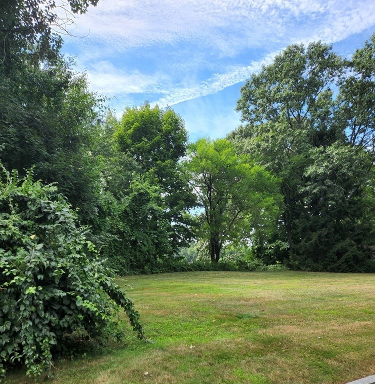 0 Sabin Street Springfield, MA 01151 - Photo 2 of 8