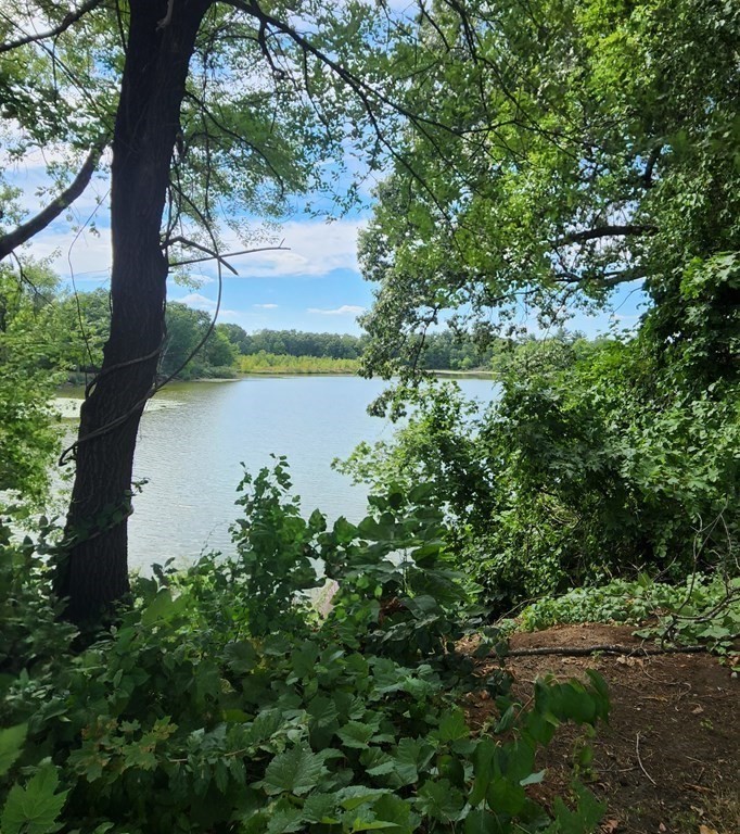 0 Sabin Street Springfield, MA 01151 - Photo 3 of 8