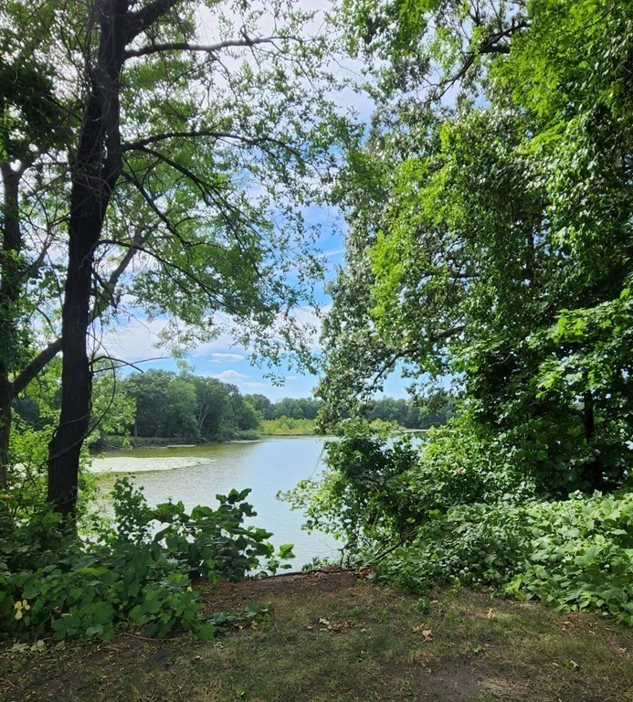 0 Sabin Street Springfield, MA 01151 - Photo 5 of 8