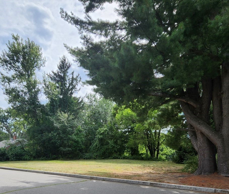 0 Sabin Street Springfield, MA 01151 - Photo 6 of 8