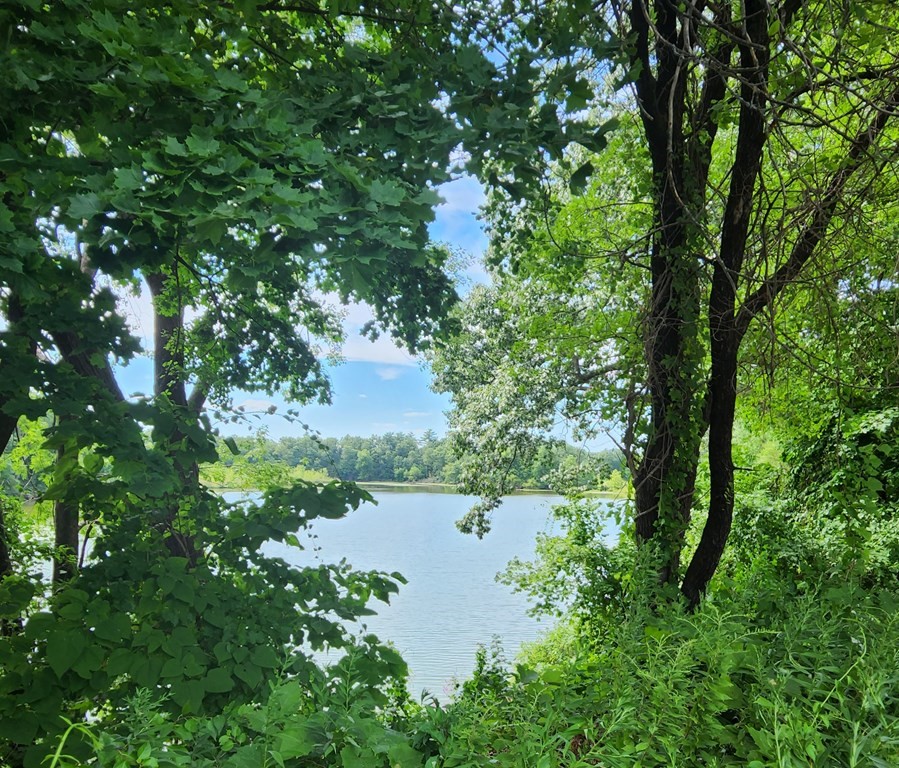 0 Sabin Street Springfield, MA 01151 - Photo 8 of 8