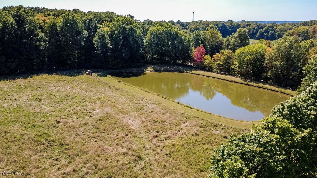 8131 Leffingwell Road Canfield, OH 44406 - Photo 28 of 37 Water view with a forest