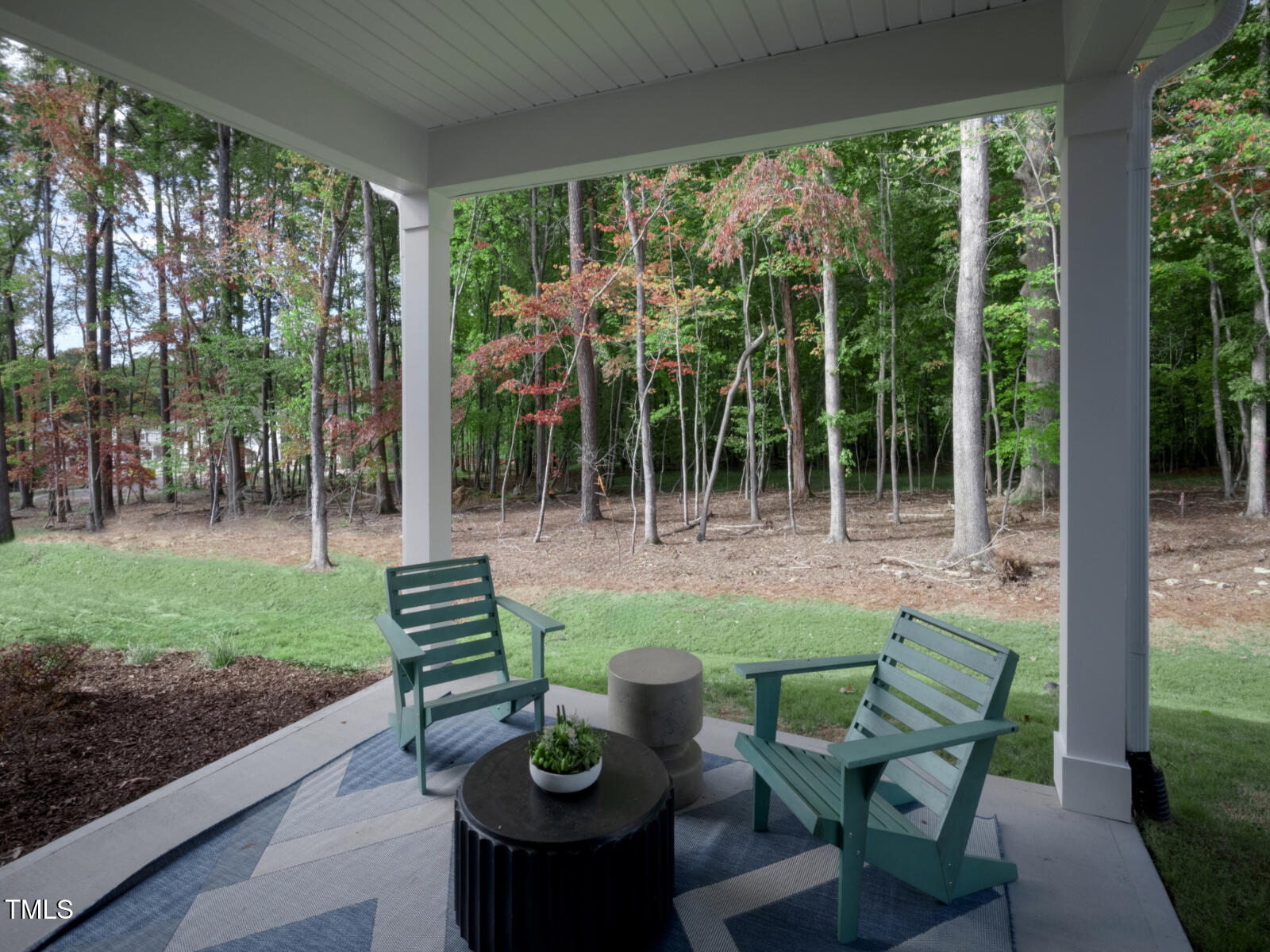 3521 Telluride Trail Raleigh, NC 27616 - Photo 19 of 32 7.1