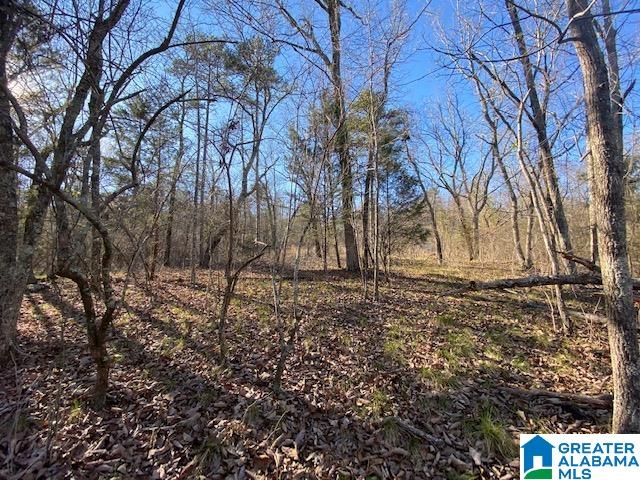 569 Ridge View Drive, Unit 5 AC Trussville, AL 35173 - Photo 13 of 21