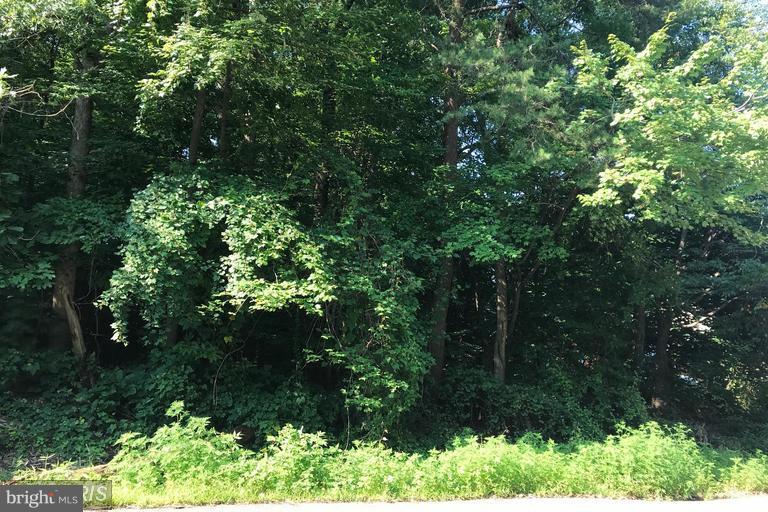 6817 Hamilton Road Lorton, VA 22079 - Photo 3 of 4 View