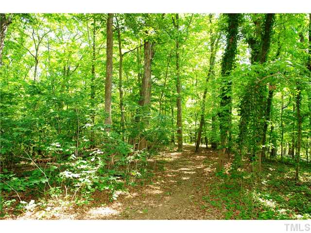 5001 Trail Ridge Drive Raleigh, NC 27613 - Photo 25 of 25 a view of yard with green space
