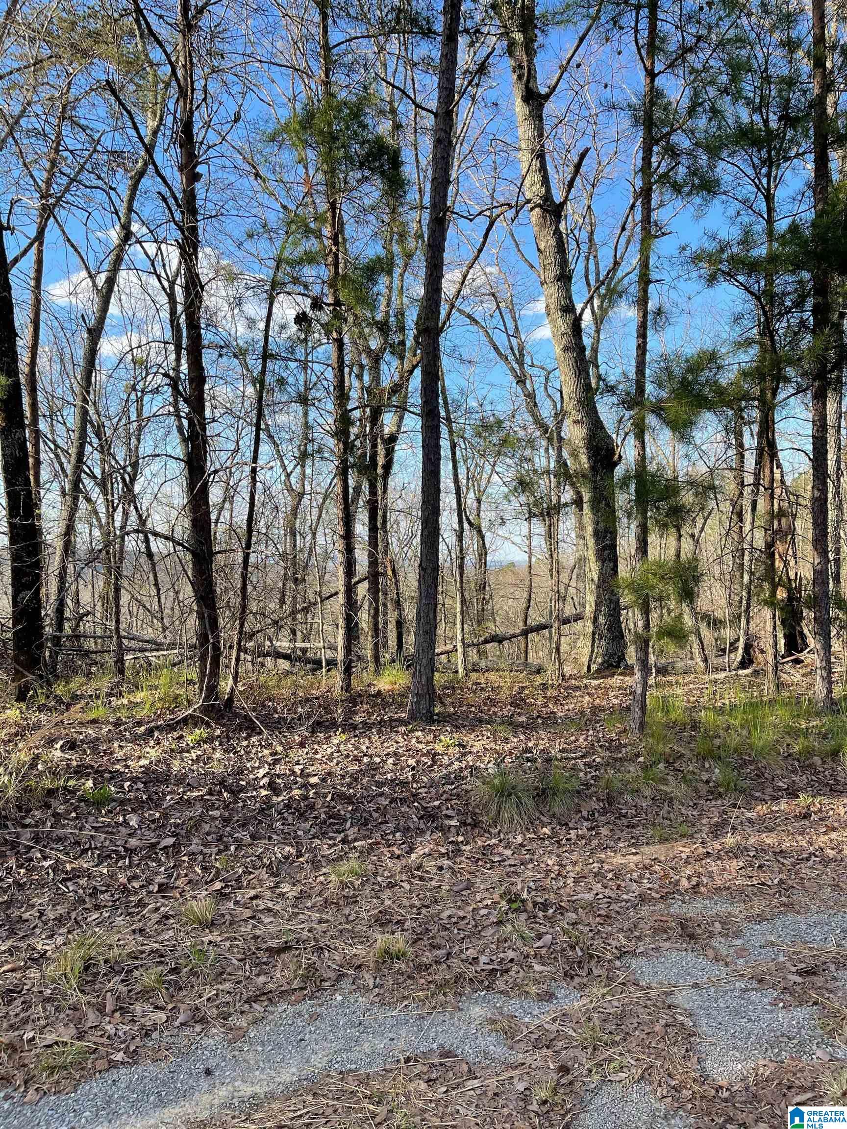 Lot 1 Statum Farm Road, Unit 1 Columbiana, AL 35051 - Photo 7 of 12