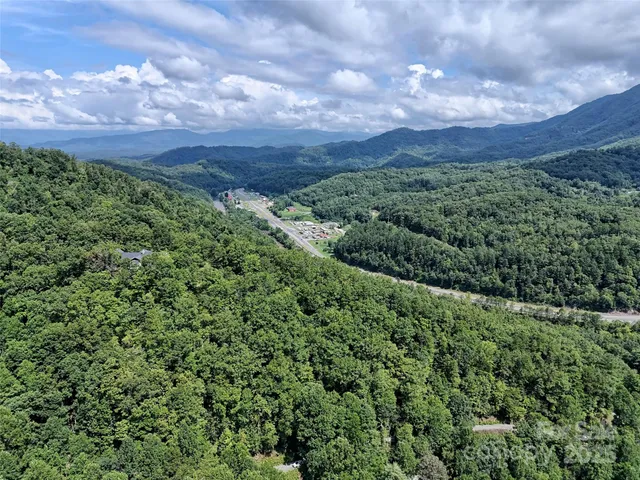 a view of a city with lush green forest