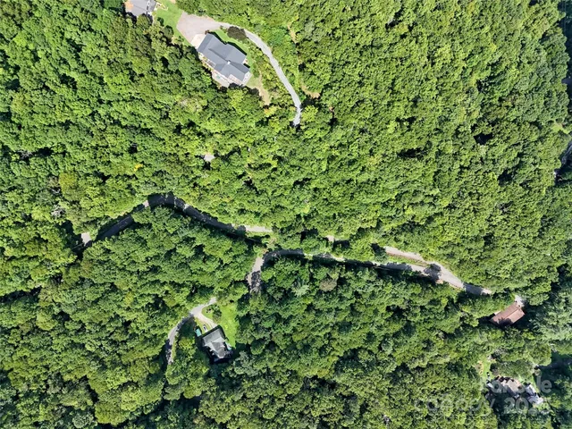 a view of a lush green forest