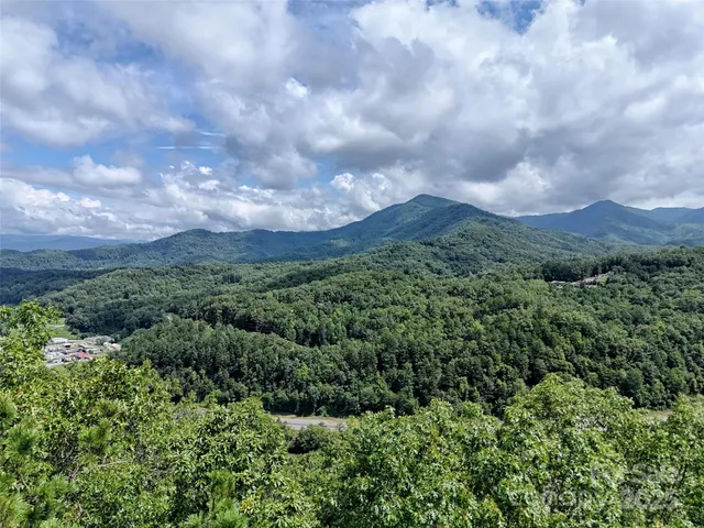 an aerial view of houses covered in trees