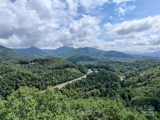 an aerial view of houses covered in trees