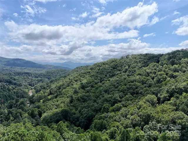 an aerial view of houses covered in trees