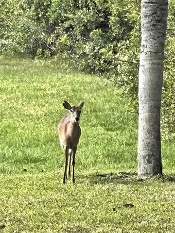 $325,000 | 1438 Carlow Circle, Ormond Beach, FL 32174