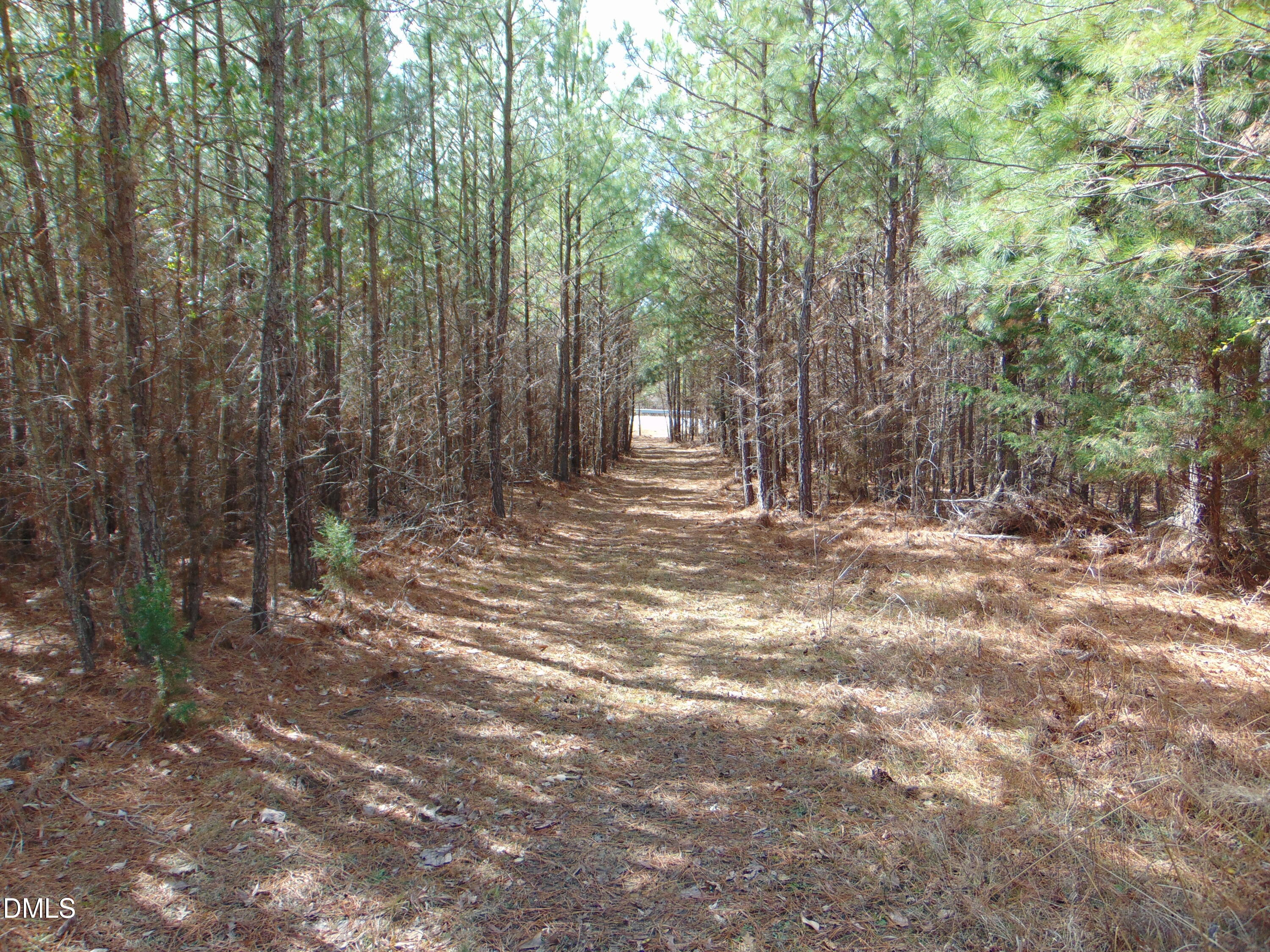 0 Park Springs Road Providence, NC 27315 - Photo 36 of 46 DSC01385