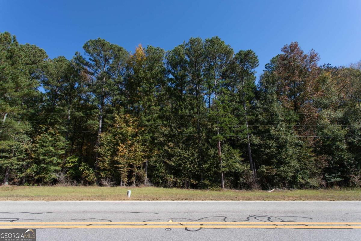 Lot D Salem Road Watkinsville, GA 30677 - Photo 13 of 23