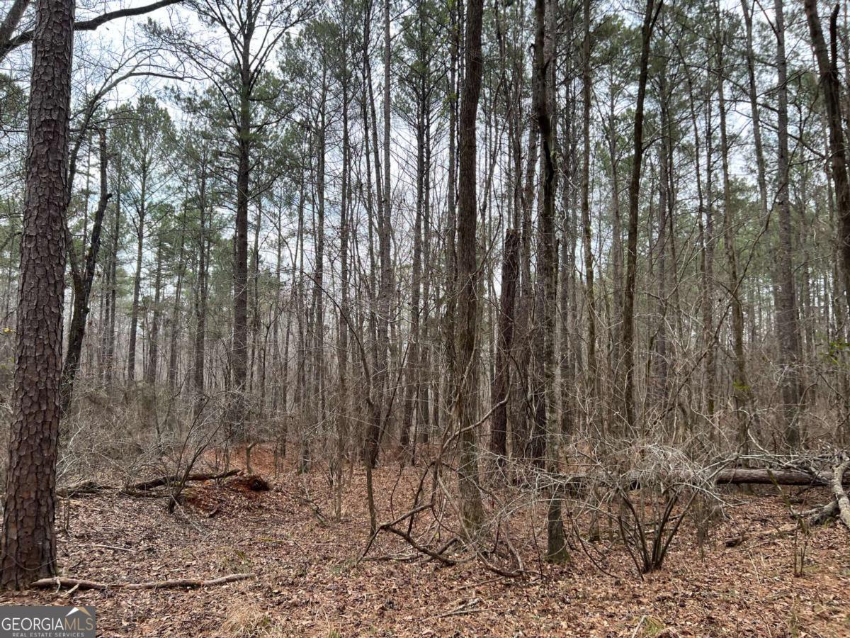 Lot D Salem Road Watkinsville, GA 30677 - Photo 18 of 23