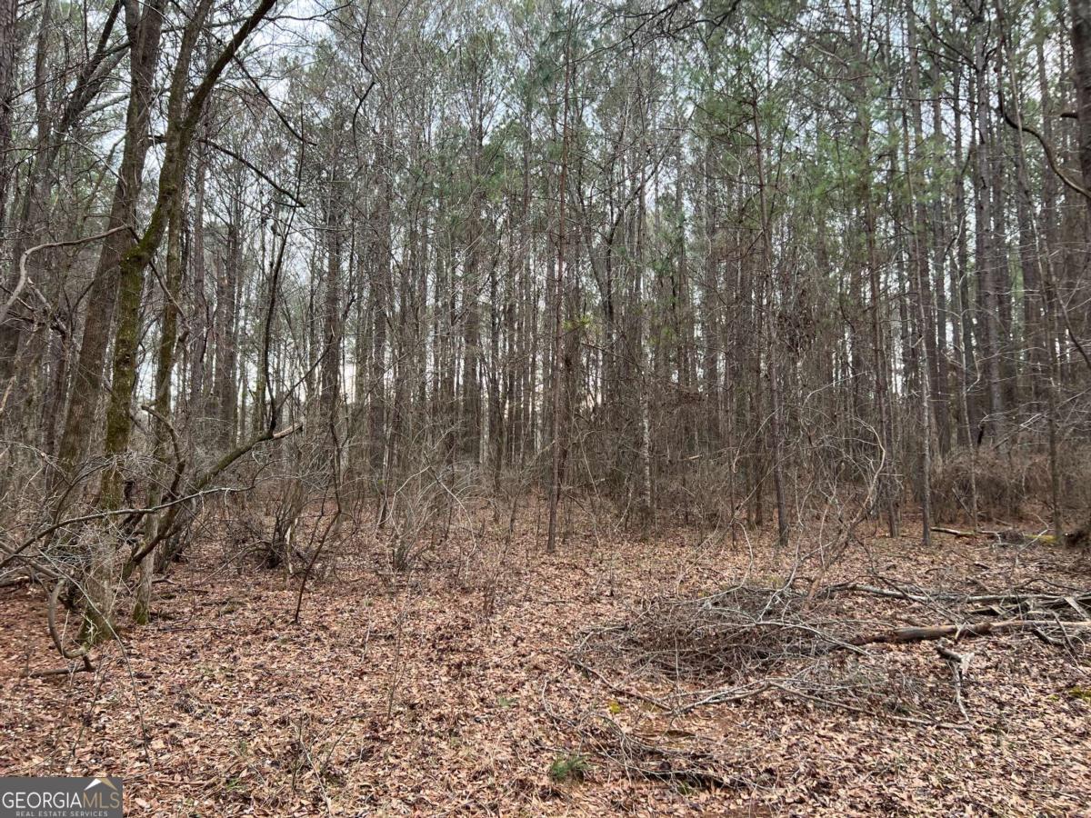 Lot D Salem Road Watkinsville, GA 30677 - Photo 19 of 23