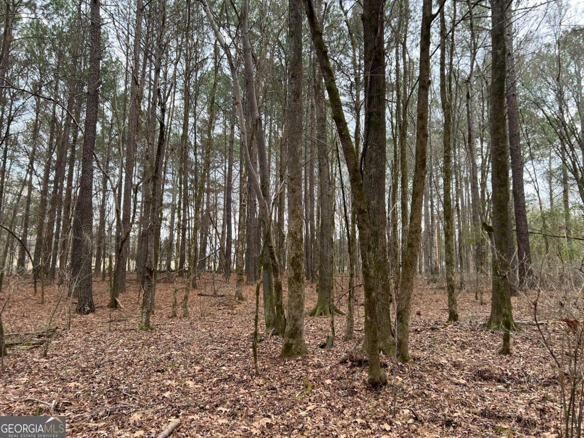 Lot D Salem Road Watkinsville, GA 30677 - Photo 20 of 23