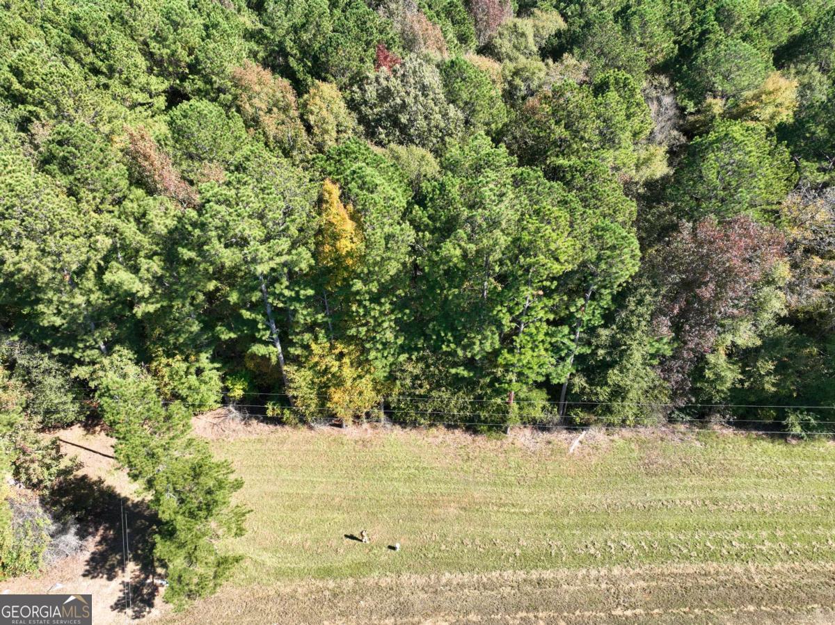 Lot D Salem Road Watkinsville, GA 30677 - Photo 2 of 23