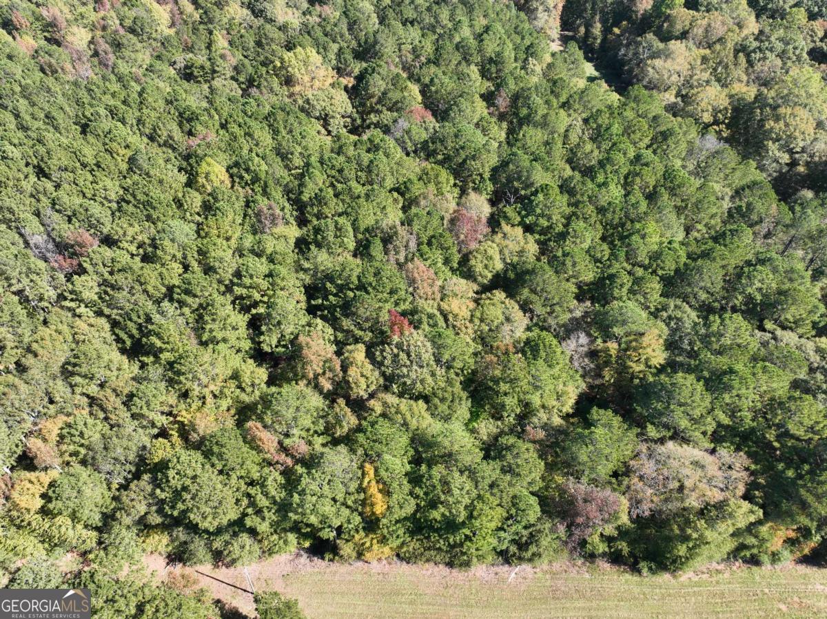 Lot D Salem Road Watkinsville, GA 30677 - Photo 3 of 23