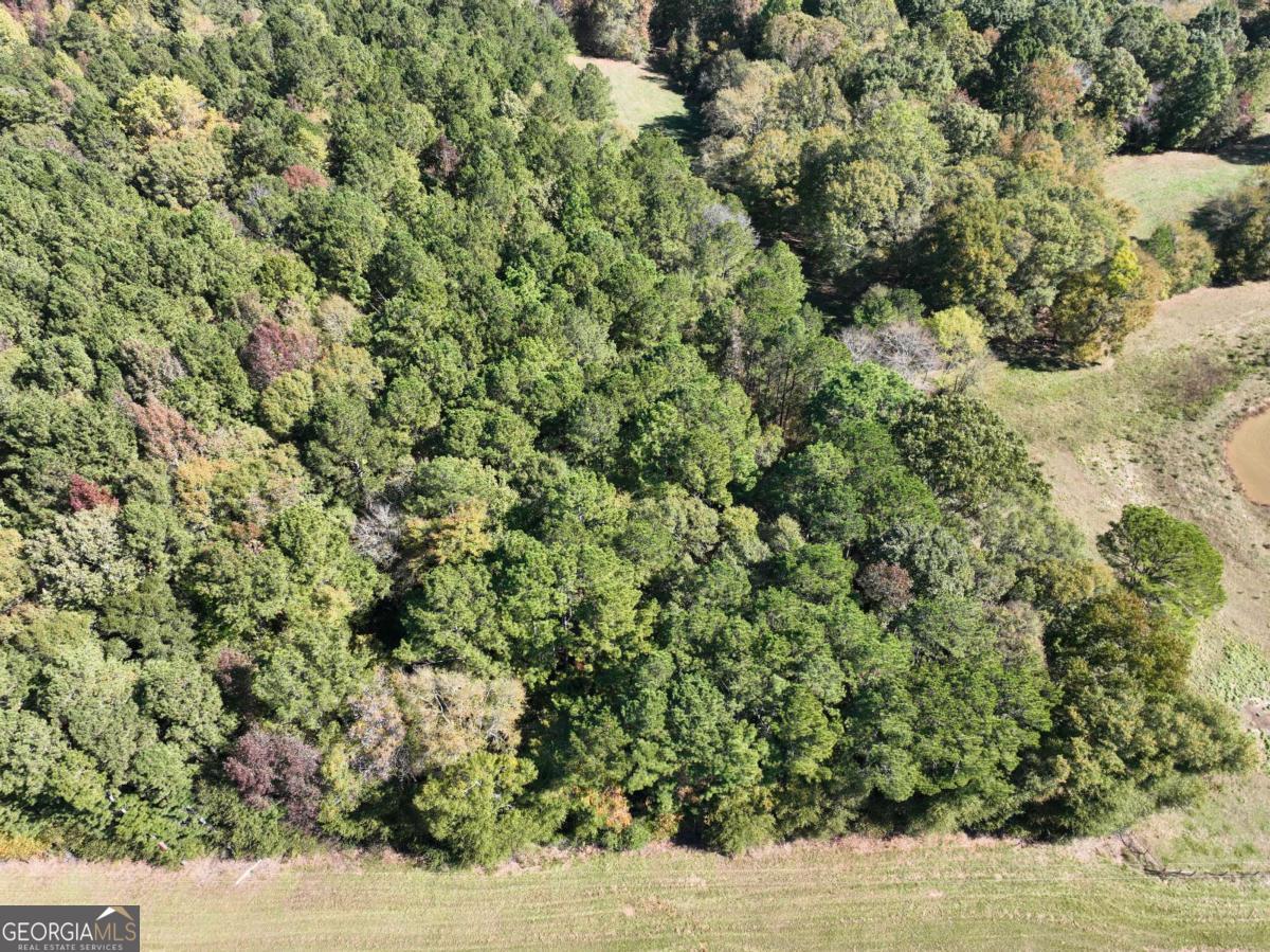 Lot D Salem Road Watkinsville, GA 30677 - Photo 4 of 23