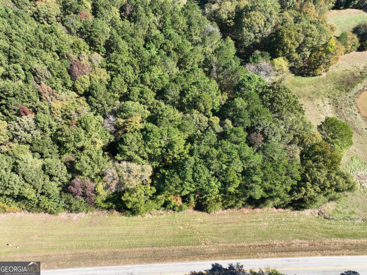 Lot D Salem Road Watkinsville, GA 30677 - Photo 5 of 23