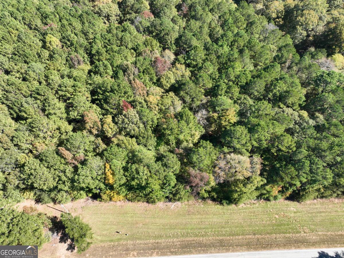 Lot D Salem Road Watkinsville, GA 30677 - Photo 6 of 23