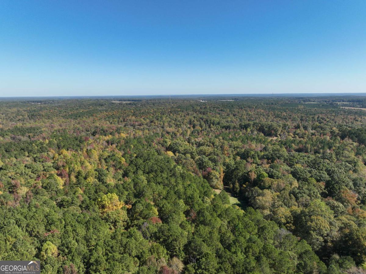 Lot D Salem Road Watkinsville, GA 30677 - Photo 7 of 23